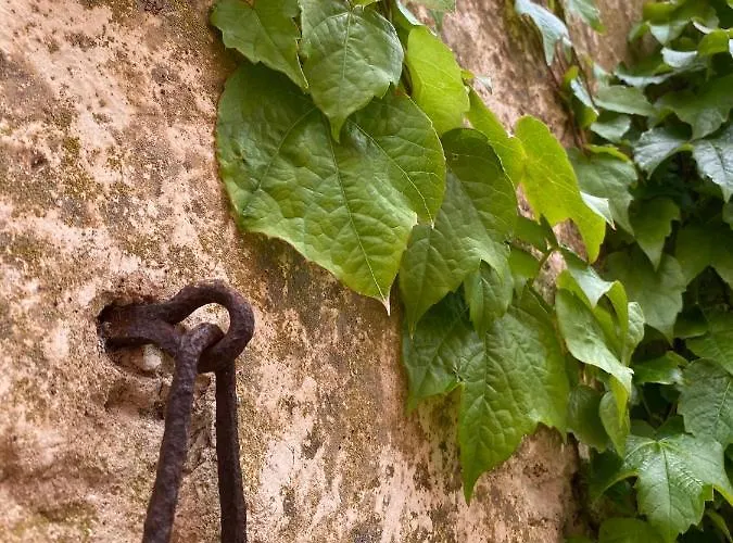 Apartment Palazzo Del Papa Country Siena