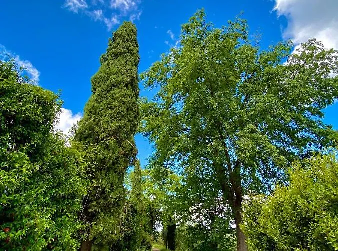 Palazzo Del Papa Country Apartment