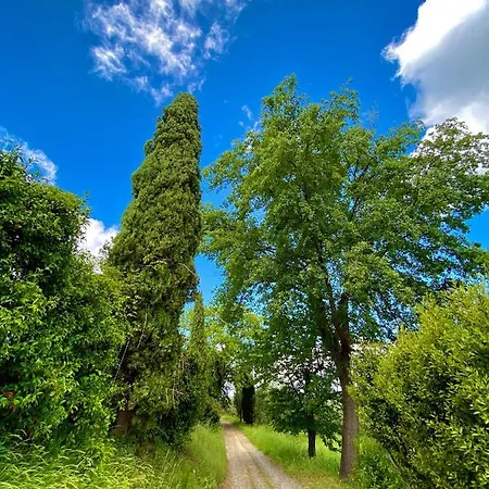 Palazzo Del Papa Country Suites-5 Mins From Siena & Chianti Views Appartement