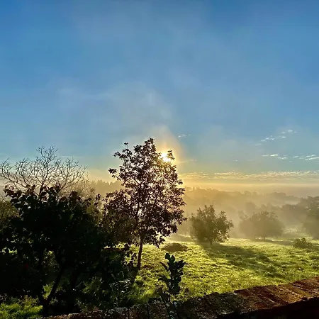 شقة Palazzo Del Papa Country *