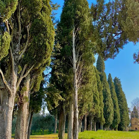 Appartement Palazzo Del Papa Country Suites-5 Mins From Siena & Chianti Views