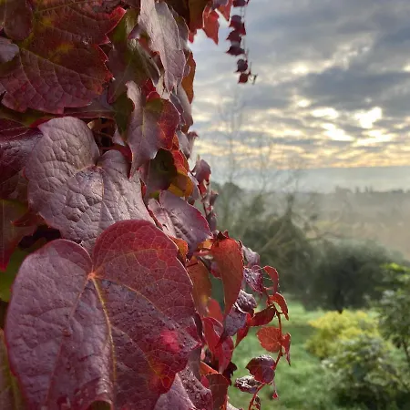 Palazzo Del Papa Country Suites-5 Mins From Siena & Chianti Views