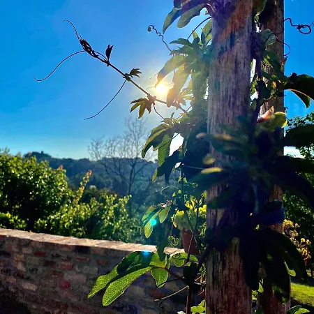 Palazzo Del Papa Country Suites-5 Mins From Siena & Chianti Views