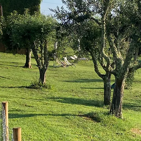 Palazzo Del Papa Country Suites-5 Mins From Siena & Chianti Views Appartement *