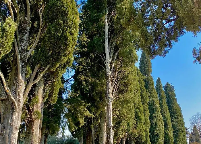 아파트 Palazzo Del Papa Country