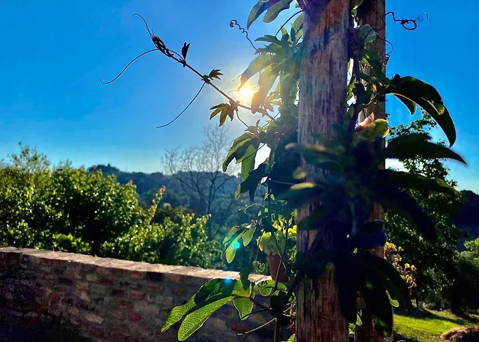 Palazzo Del Papa Country