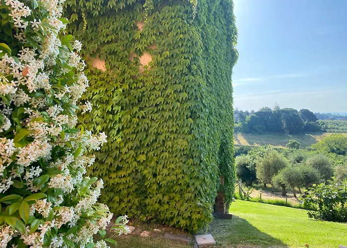 Palazzo Del Papa Country * Сиена