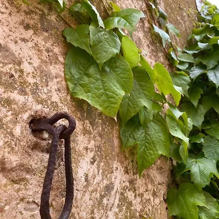 Appartement Palazzo Del Papa Country Sienne