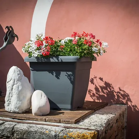 Palazzo Del Papa Country Apartamento *