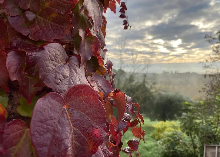 Palazzo Del Papa Country